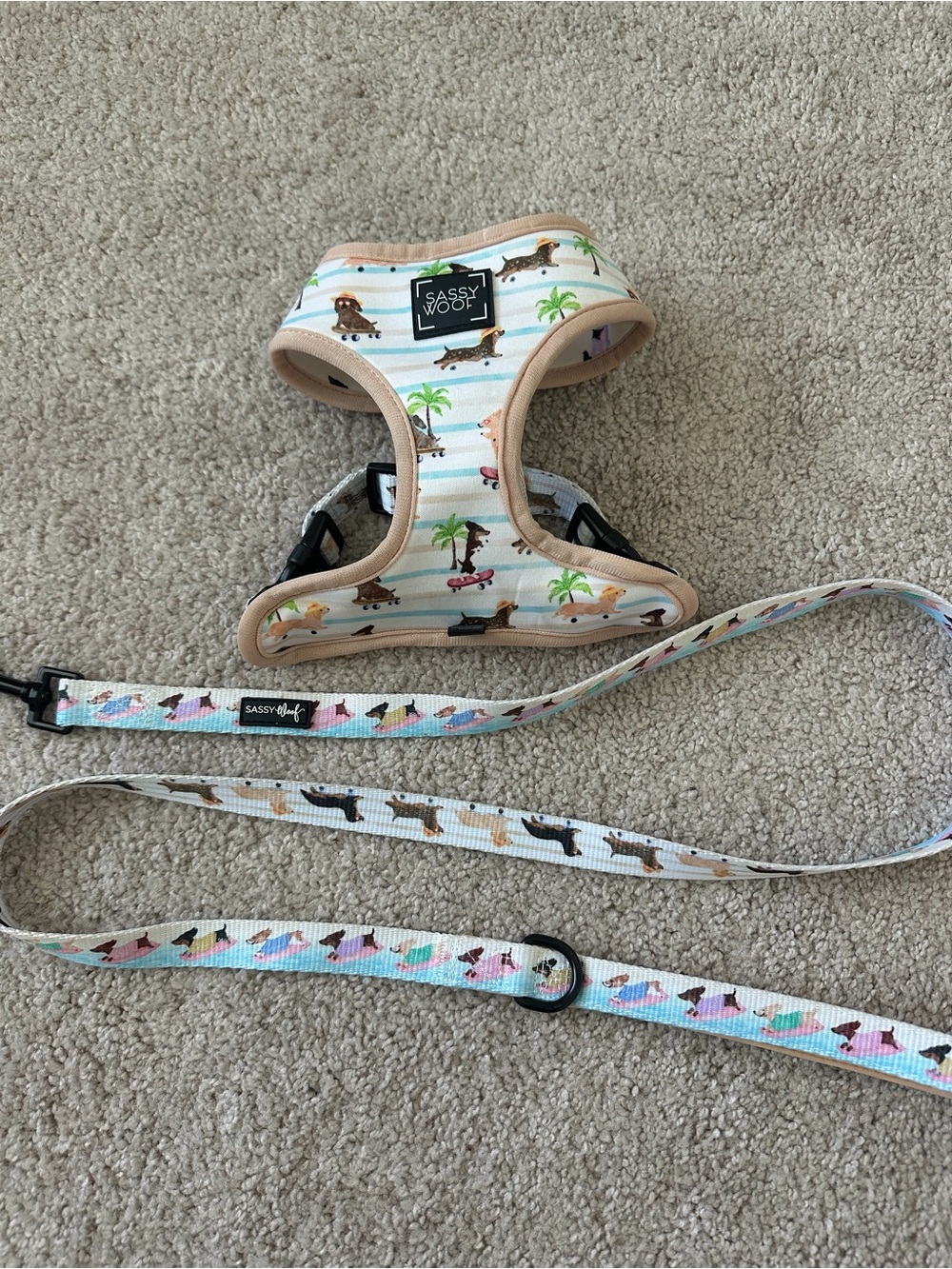 Sassy Woof Harness Leash Bundle - Picture 7 of 16